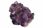 Deep Purple Amethyst Crystal Cluster - Congo #148705-3